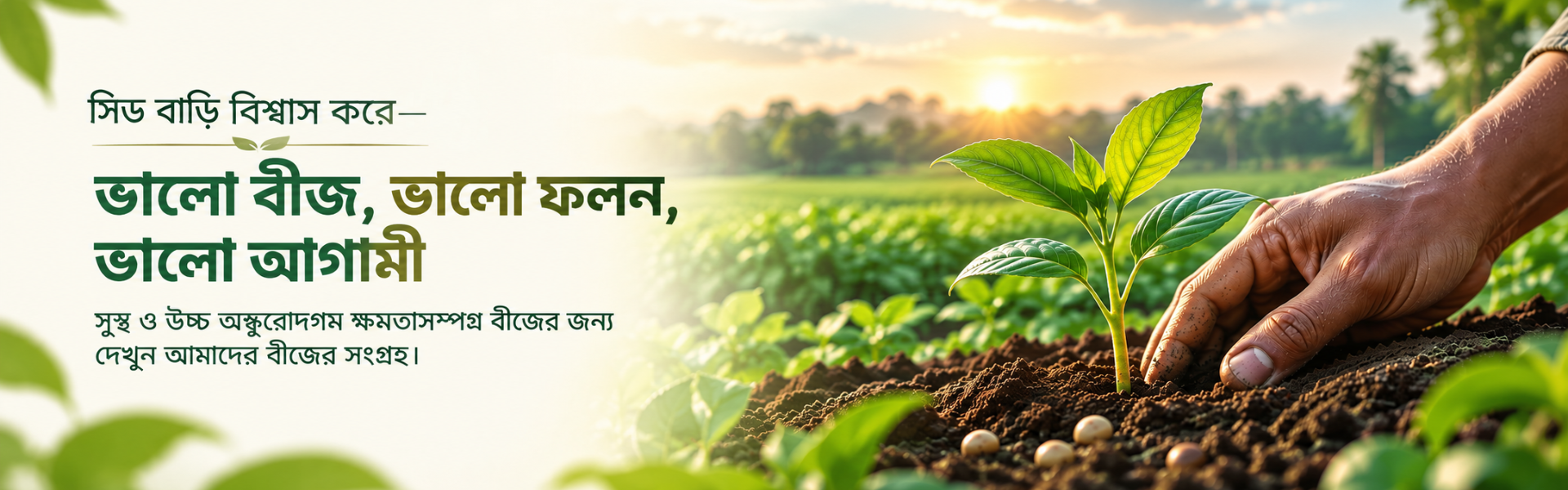 SEED BARI promotional banner